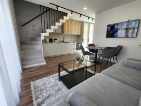 6 miegamų vietų SOLUNA ir IEVA apartamentai Kunigiškėse